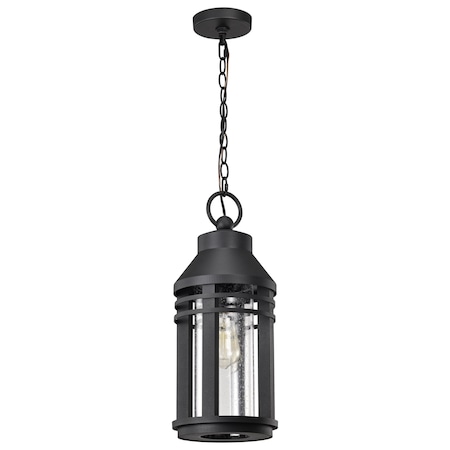 Nuvo Wilton - 1 Light Hanging Lantern - Matte Black with Clear Seeded Glass 60/8104